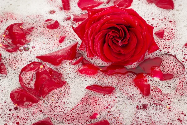 Acqua da bagno con petali di rosa — Foto Stock