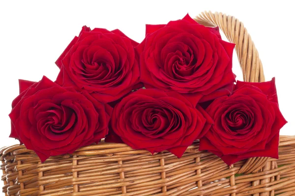 Roses in a basket — Stock Photo, Image