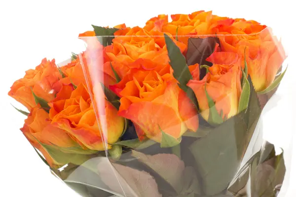 Bunch of roses — Stock Photo, Image