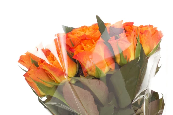 Bunch of roses — Stock Photo, Image