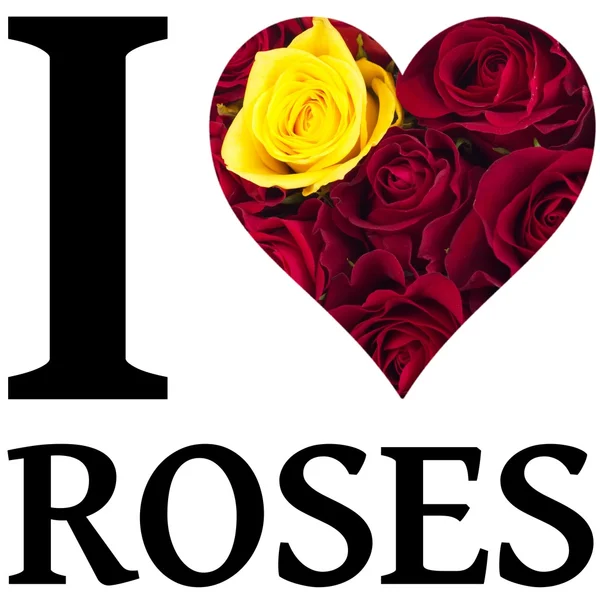 I love roses — Stock Photo, Image
