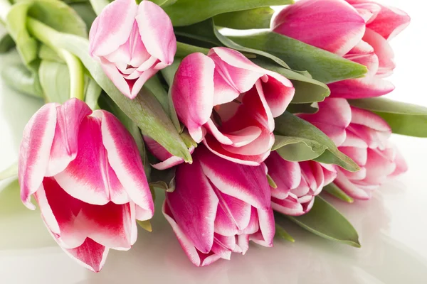 Bunch of tulips — Stock Photo, Image