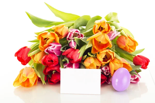 Bunch of tulips with easter egg and card — Stock Photo, Image