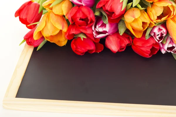 Bando de tulipas com quadro-negro — Fotografia de Stock