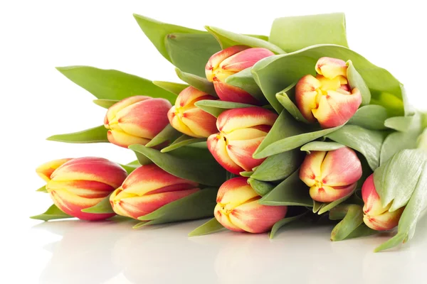 Tulpenstrauß — Stockfoto