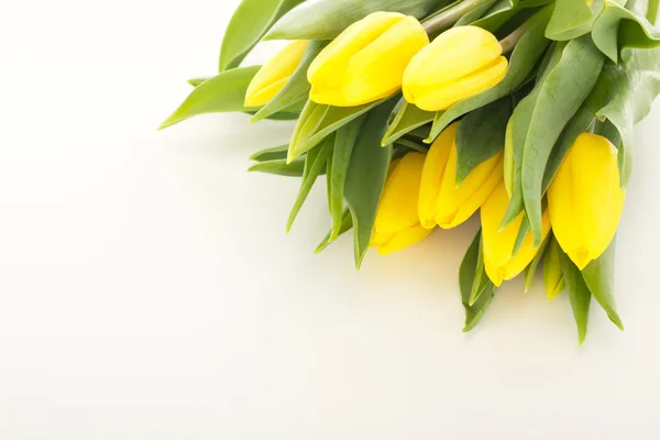 Bunch of tulips — Stock Photo, Image