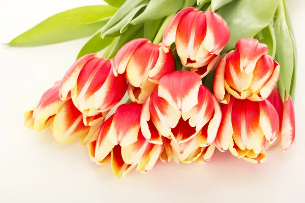 Bunch of tulips — Stock Photo, Image