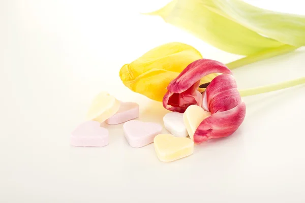 Tulipani con cuori — Foto Stock