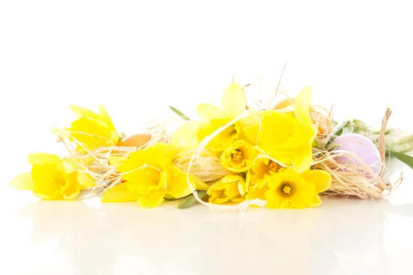 Narcissus pseudonarcissus con huevos de Pascua — Foto de Stock