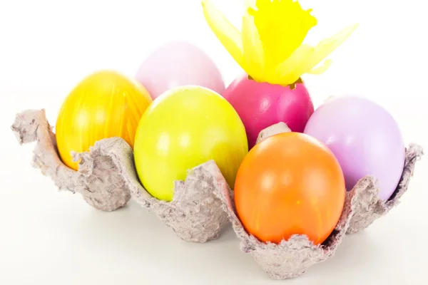 Œufs de Pâques dans un carton d'œufs — Photo