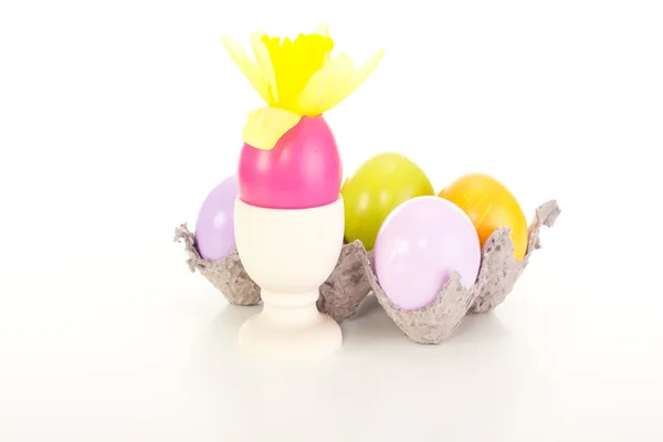 Πασχαλινά αυγά σε ένα κουτί αυγών — Φωτογραφία Αρχείου