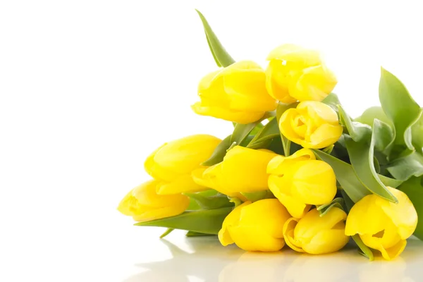 Bunch of tulips — Stock Photo, Image