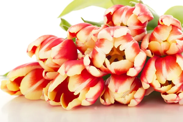 Bunch of tulips — Stock Photo, Image