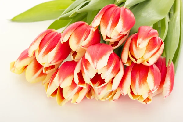 Bunch of tulips — Stock Photo, Image