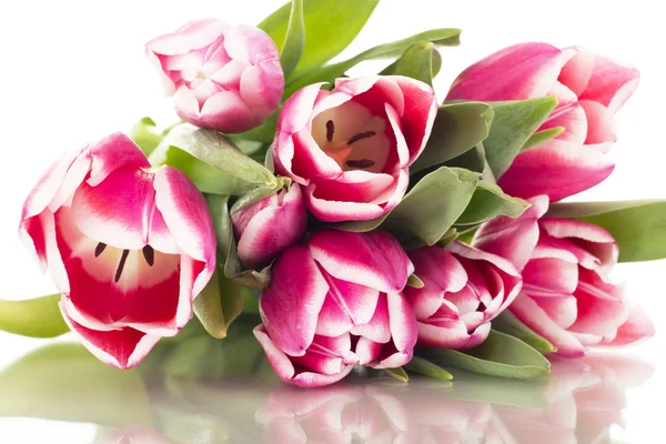 Bunch of tulips — Stock Photo, Image