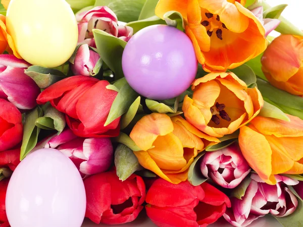 Bunch of tulips with easter eggs — Stock Photo, Image