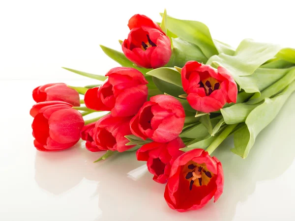 Tulpenstrauß — Stockfoto