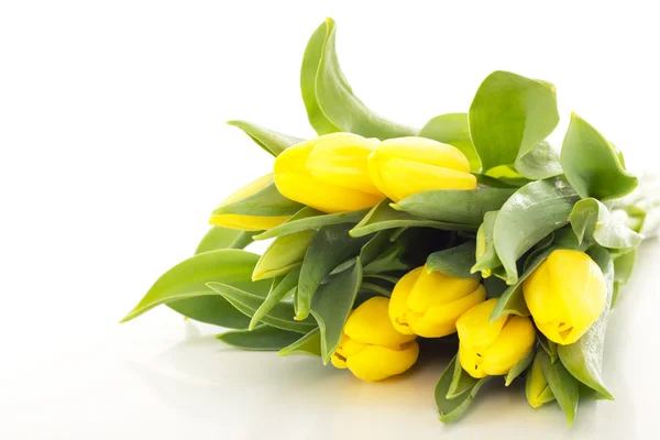 Manojo de tulipanes — Foto de Stock