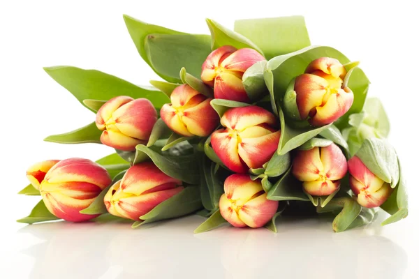 Bunch of tulips — Stock Photo, Image