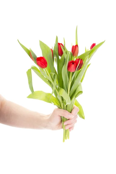 Mano con mazzo di tulipani — Foto Stock