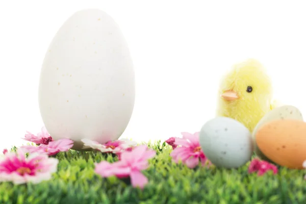 Pulcino su erba con fiori e uova di Pasqua — Foto Stock