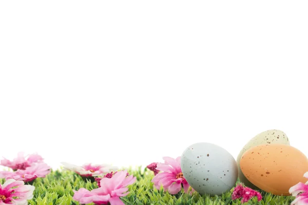 Easter eggs — Stock Photo, Image