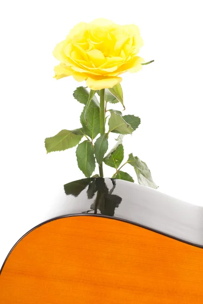 Beautiful rose with guitar — Stock Photo, Image