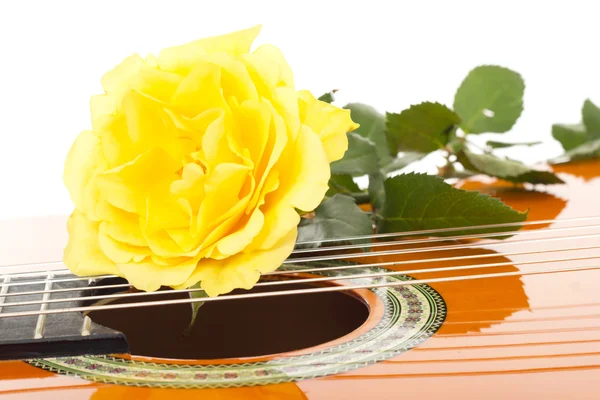ギターに美しいバラ — ストック写真