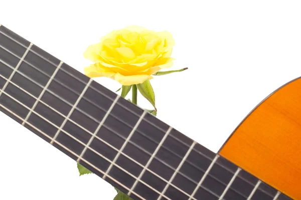 美丽的黄玫瑰与吉他 — 图库照片