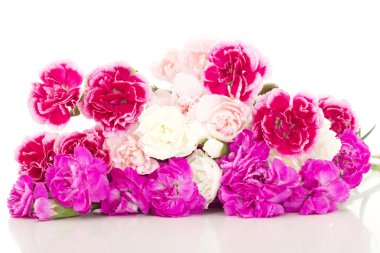 dianthus caryphyllus güzel demet