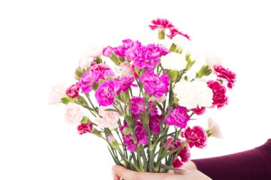 dianthus caryphyllus güzel demet