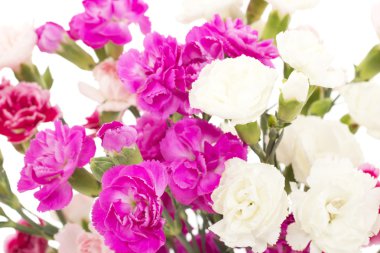 dianthus caryphyllus güzel demet
