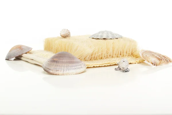 A beautiful wellness decoration with brush and seashells — Stock Photo, Image