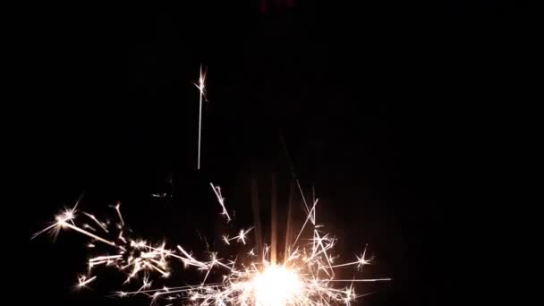 Lighted sparklers — Stock Video