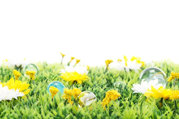 Spela med färgglada kulor på blommande äng — Stockfoto