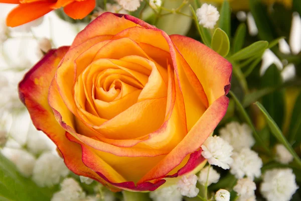 Rosa naranja roja en hermoso ramo — Foto de Stock