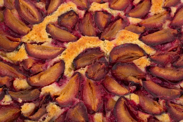 Close-up of the freshly baked Zwetschgenkuchen — Stock Photo, Image
