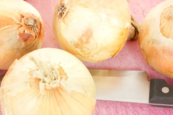 Four onions waiting to be cutted — Stock Photo, Image