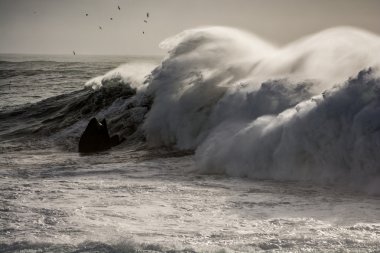 reynisfjara dalgaları