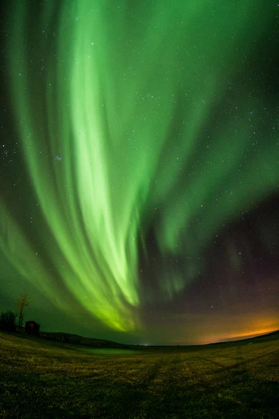 Luces boreales en campos —  Fotos de Stock