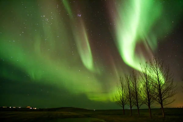 Aurora e alberi 2 — Foto Stock