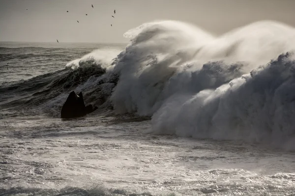 Хвилі на reynisfjara — стокове фото