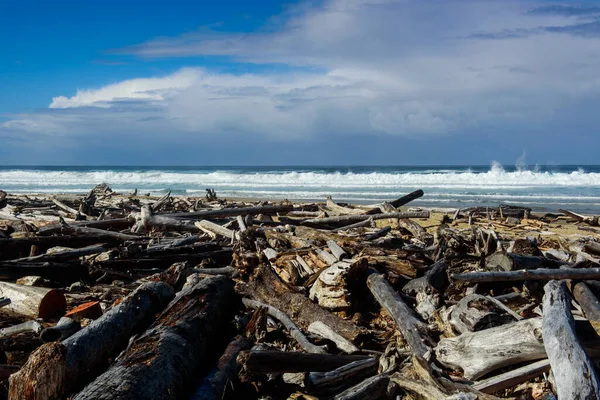 Treibwälder Strand Von Umpqua — Stockfoto