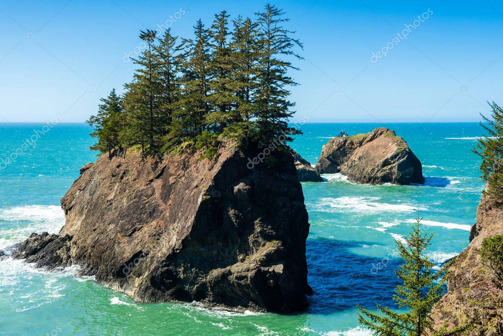 Trees settled on top of an island rock