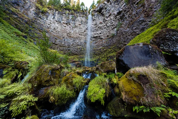Мох Растительность Вокруг Водопада Уотсон Орегоне — стоковое фото