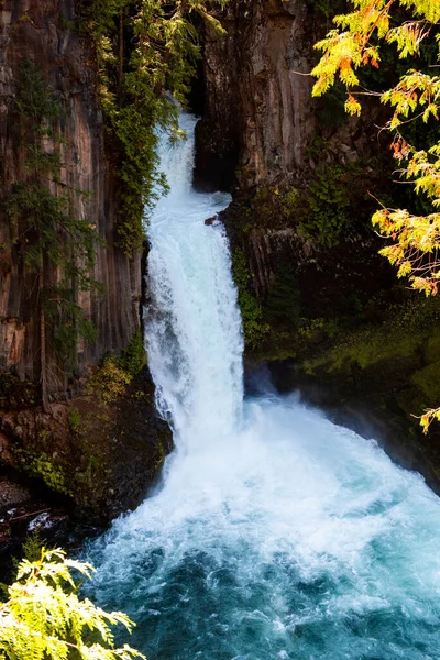 Powerfull Toketee Falls Oregon — Stock Photo, Image