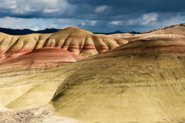 John Day Ulusal Anıtı 'ndaki sarı tepelerin yakın görüntüsü
