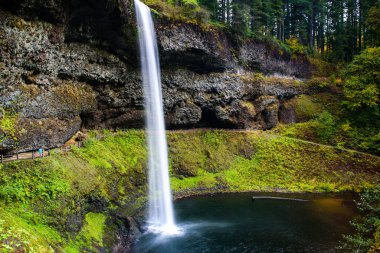 Silver Falls Eyalet Parkı 'nın güneyindeki Bassin ve Patika