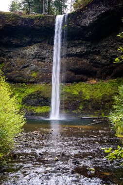 Silver Creek ve South, Silver Falls Eyalet Parkı 'na düştü.