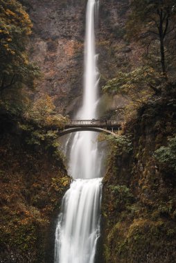 Tarihsel Multnomah Oregon 'daki Kolombiya nehrine dökülüyor.